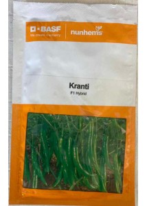 Kranti F1 Hy Chilli Nunhems